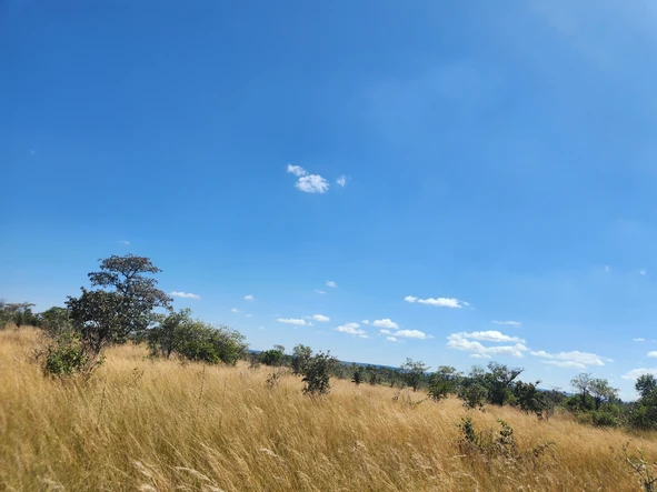 Farm & Agricultural Land