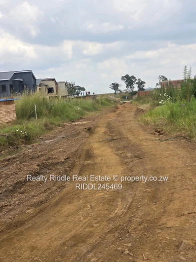 1000m² Westgate Stand — Gravel Road