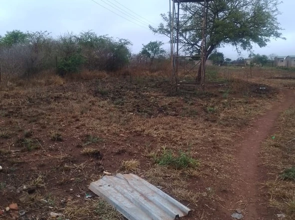 Farm & Agricultural Land