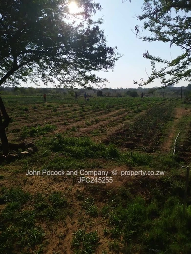 Corner Stand, Plot in Kensington (Sole Mandate)