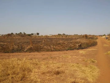 Farm & Agricultural Land