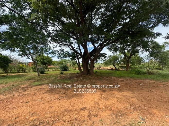 Petrol Station Vacant Stand for Sale-Chinhoyi