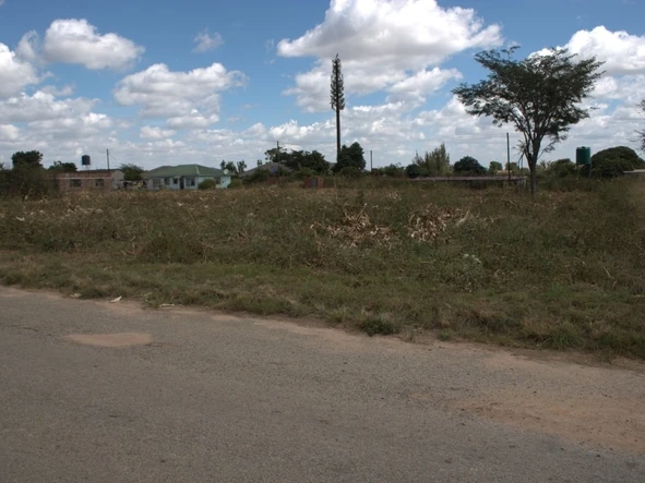 Stands & Residential Land