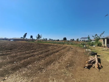 Stands & Residential Land