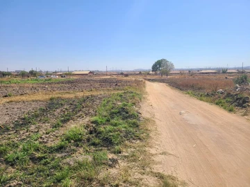 Stands & Residential Land