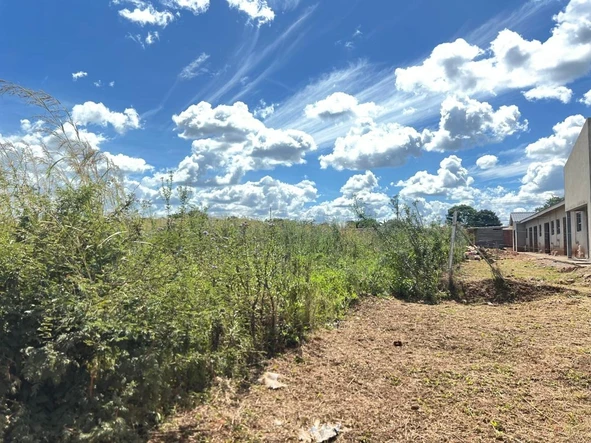 Stands & Residential Land