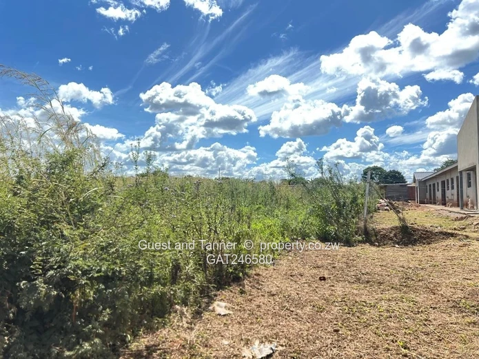Low and High Density Stands for Sale 