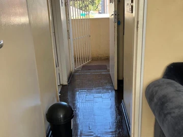 Flat & Apartment