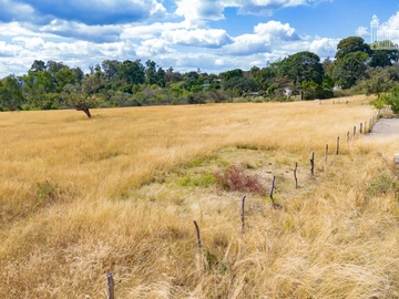 Farm & Agricultural Land