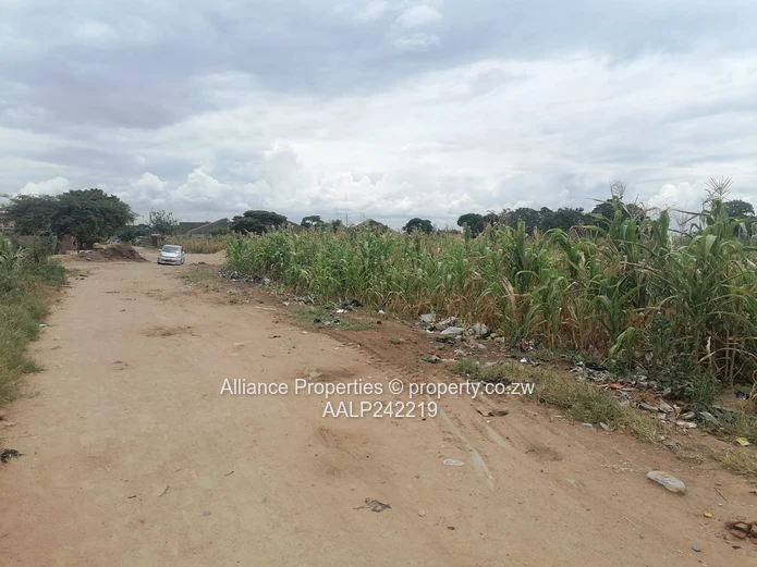 Stand for Sale – Mainway Meadows