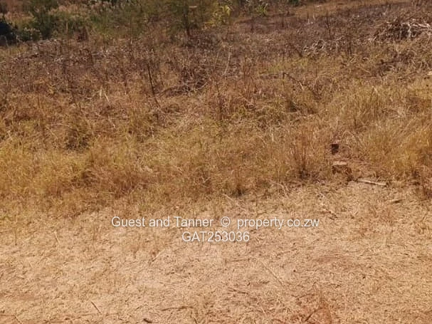 Charlotte Brooke Residential Stand for Sale | 2,000m²