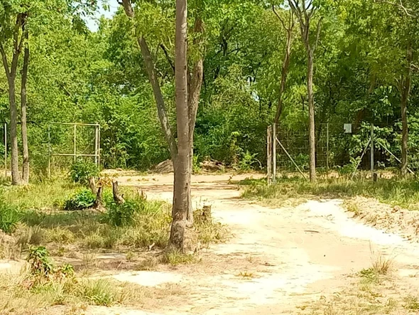 Farm & Agricultural Land