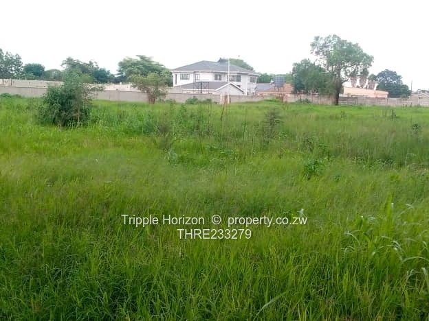 Goodhope Stand For Sale