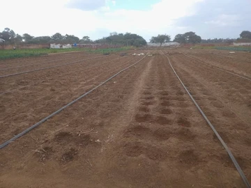 Farm & Agricultural Land