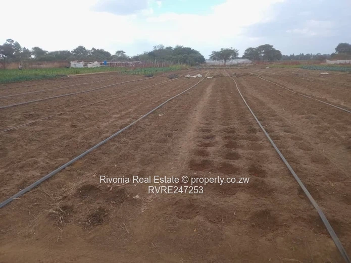 1.5 ha plot Galloway Norton