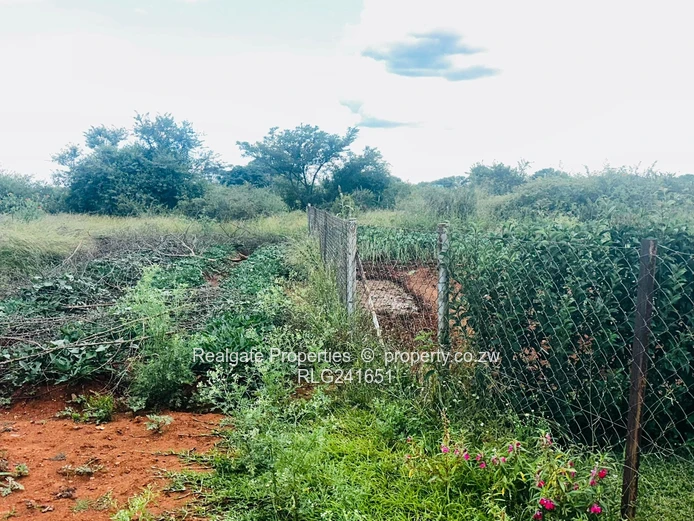 Woodville Stand For Sale