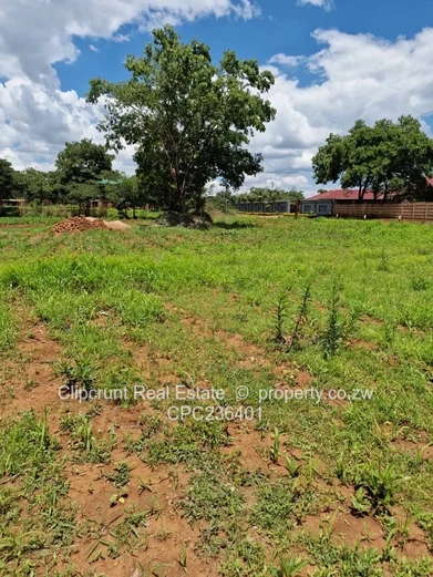 Stand for sale (Sole Mandate)