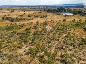 Farm & Agricultural Land