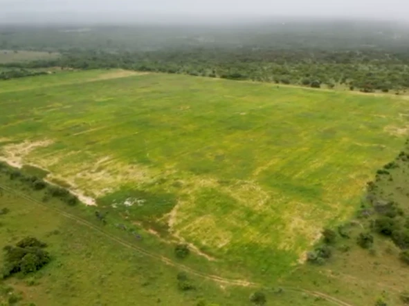 Farm & Agricultural Land