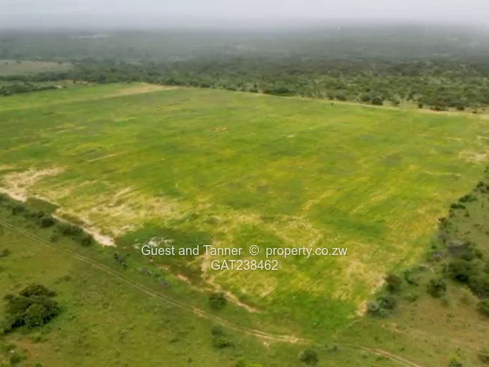 Premium 632.97ha Established Cattle Ranch for Sale – Plumtree, Zimbabwe