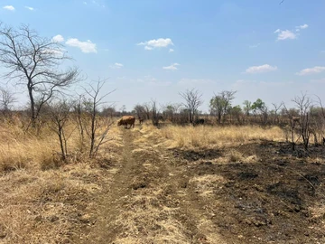 Farm & Agricultural Land