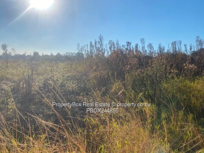 Vacant Stand for Sale in Hatfield Estate