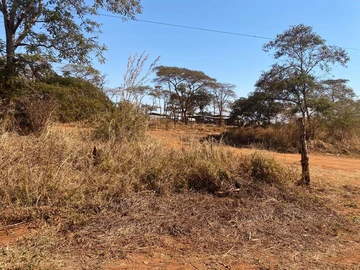 Farm & Agricultural Land