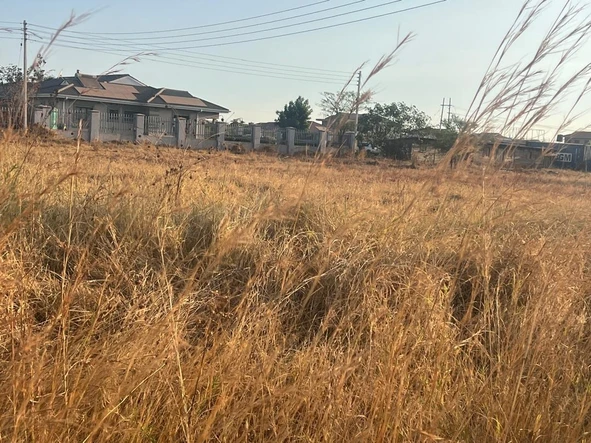 Stands & Residential Land