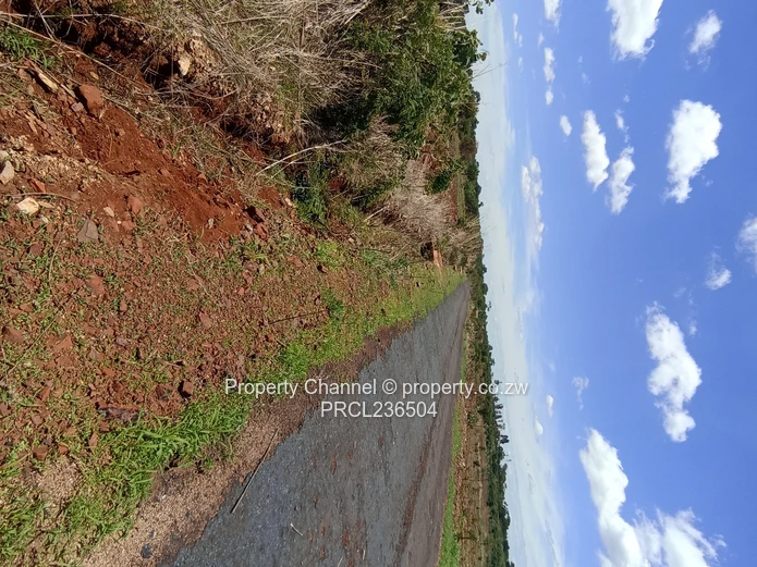 Pomona Serviced Residential & Commercial Stands in Wild Geese, Buckland Gated Community