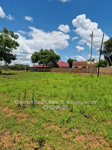 Stand for sale (Sole Mandate)