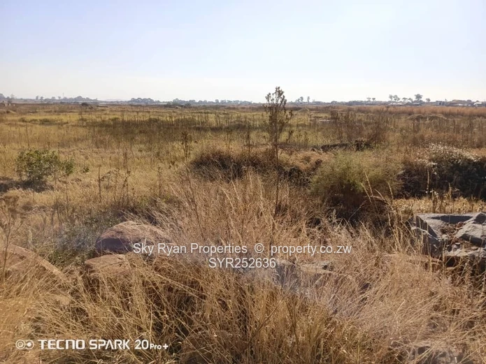 Nyeredzi Pomona Stand For Sale