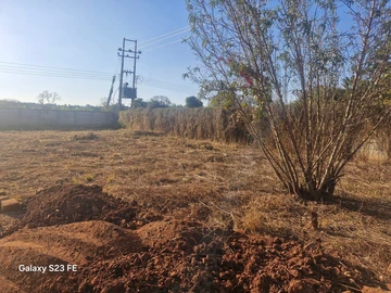 Stands & Residential Land