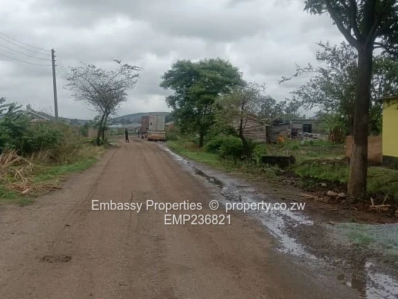 Taken by first viewer