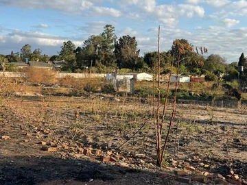 Stands & Residential Land