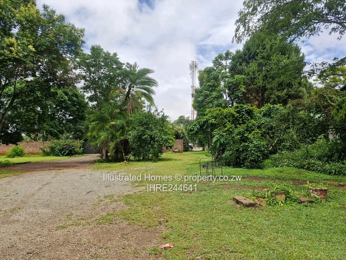 Interesting Investment Opportunity 