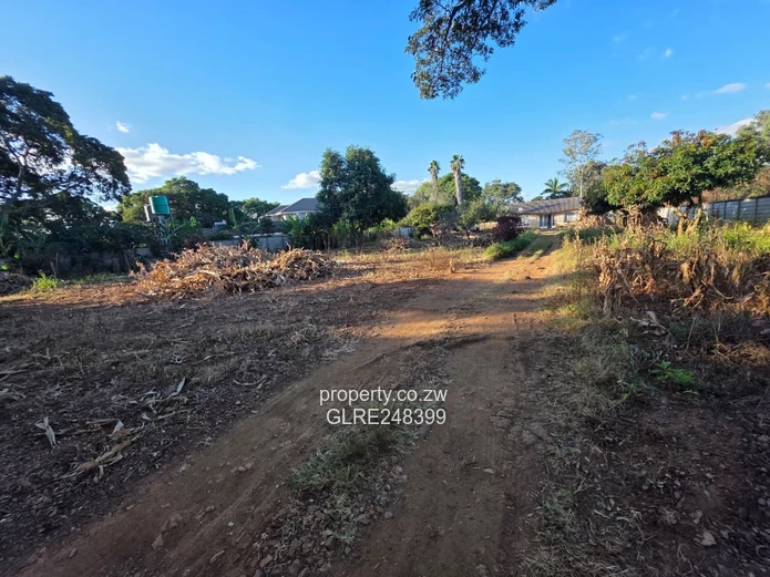 Walled 2,825m² Borrowdale Stand — Subdivide & Sewered
