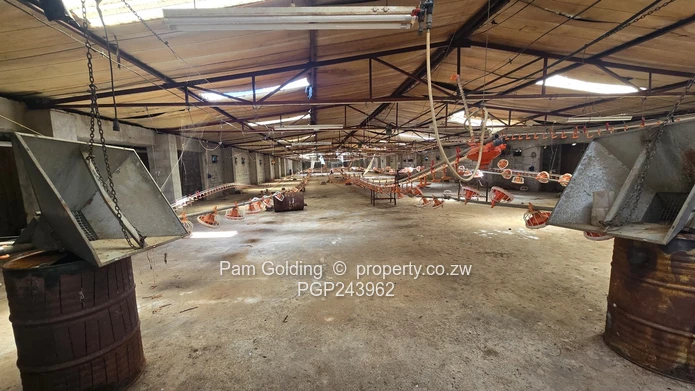 Farm/Plot for Sale in Kensington Bulawayo (Sole Mandate)