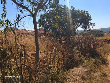 Stands & Residential Land