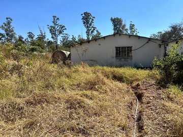 Farm & Agricultural Land