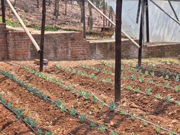 Farm & Agricultural Land