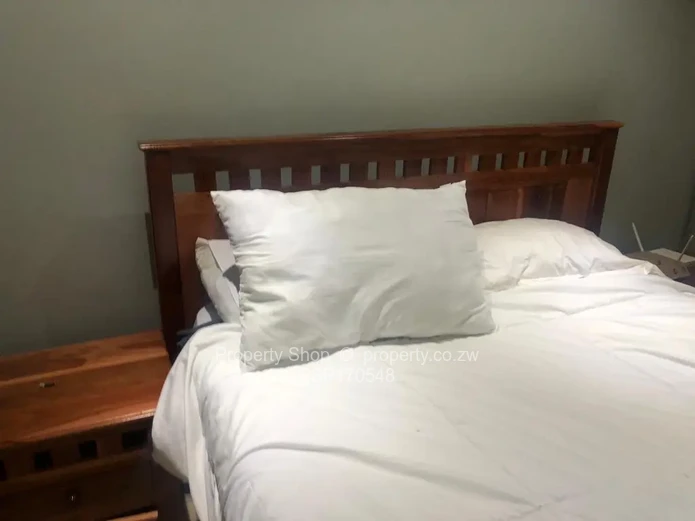 Newly built modern cluster house