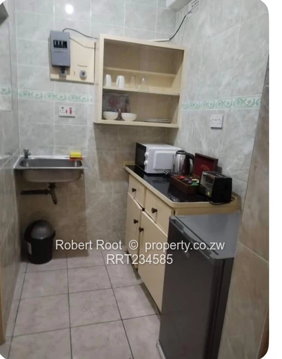 Bachelor Flat With Potential For BnB Business