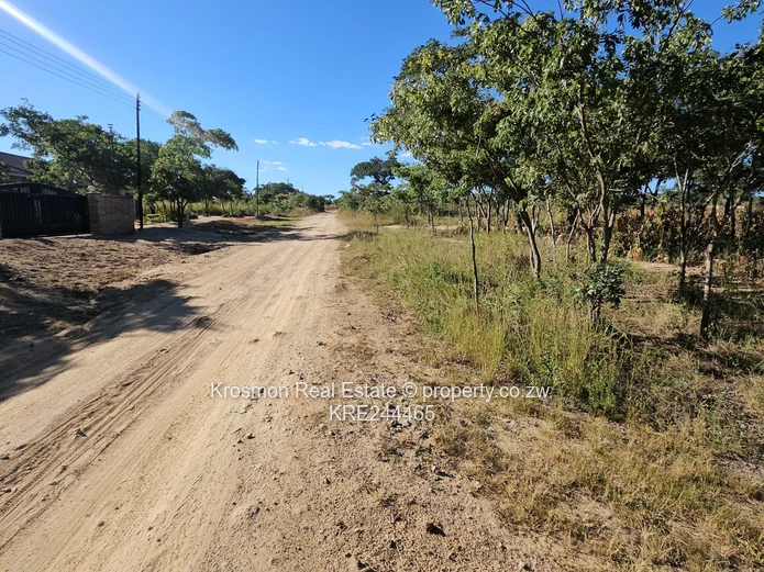 Title deed...Secure 2,330 m² Residential Stand in Roodsflvie Marondera