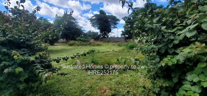 Redevelopment Potential 