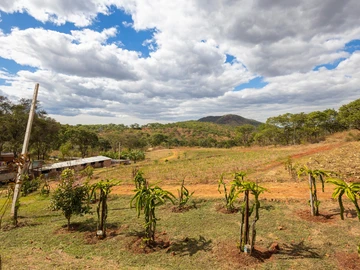 Farm & Agricultural Land
