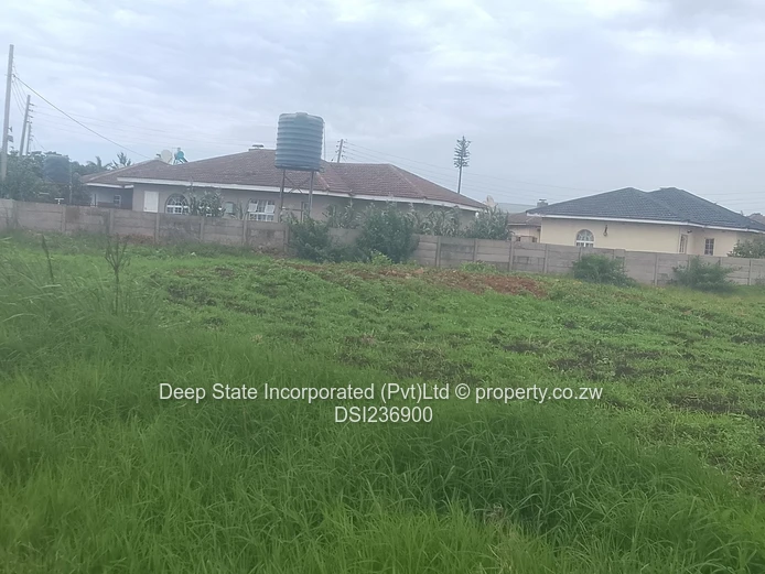 Bluff hill stand for sale 