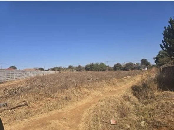 Stands & Residential Land