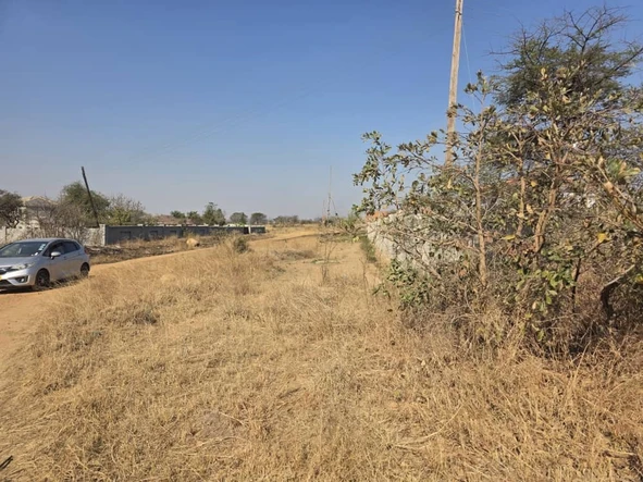 Stands & Residential Land