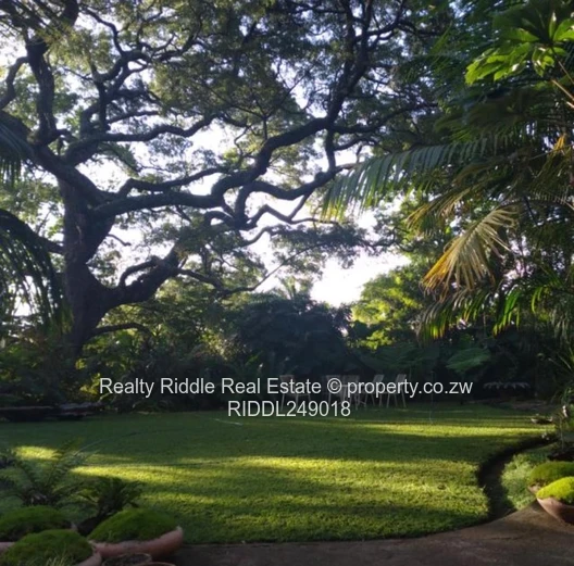 Tropical Architectural Masterpiece In Prestigious Glen Lorne