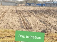Farm & Agricultural Land